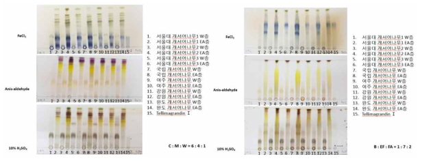 개서어나무의 원료표준화 - TLC pattern