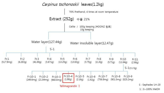 개서어나무에서 tellimagrandinⅠ 대량생산시스템 확립 Flow chart