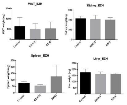NASH-STEM mice에서 EZH2 저해제 처리후 마우스의 liver, kidney, spleen, WAT 무게