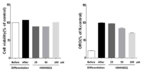 3T3-L1 세포에서 HIMH0021의 농도별 처리에 따른 세포독성 및 중성지방함량 분석
