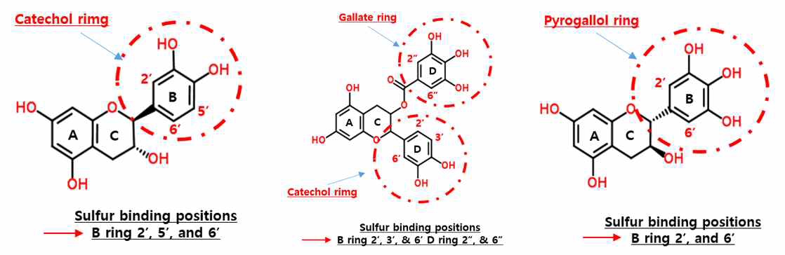 폴리페놀 화합물의 sulfur-capturing 작용 부위