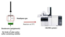 GC/MS를 이용한 폴리페놀 화합물의 황 함유 휘발성 냄새 성분 탈취 활성 측정