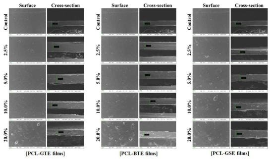 녹차, 홍차, 및 포도씨 추출물을 함유하는 개발 필름의 표면 및 단면 FE-SEM 이미지