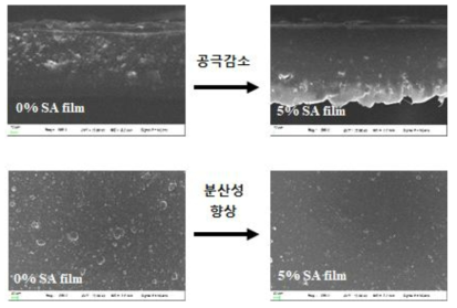 stearic acid(SA) 첨가 물질을 함유한 필름의 단면, 표면 SEM 사진