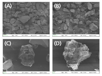 SEM 이미지 ((A) & (C): 실리카겔, (B) & (D): 산소제거 조성물)