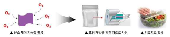 산소 제거 기능성 필름의 활용도