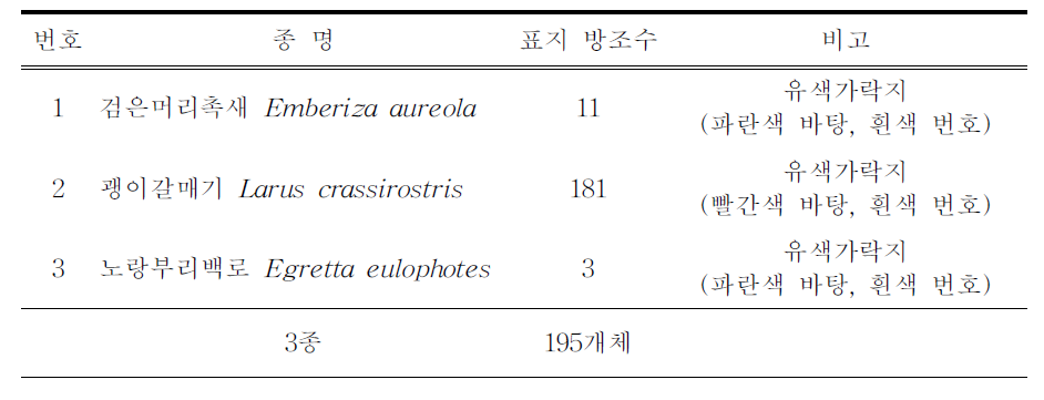 2019년 유색가락지 표지 종 및 개체수