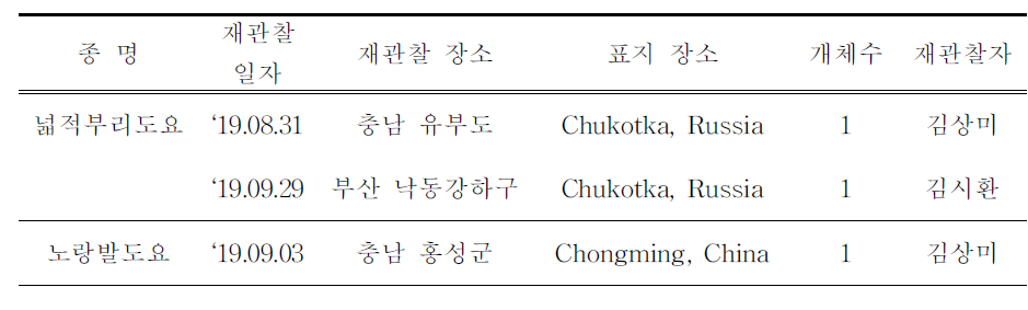 국내에서 재관찰된 국외 부착 도요새류 색조합 컬러플랙