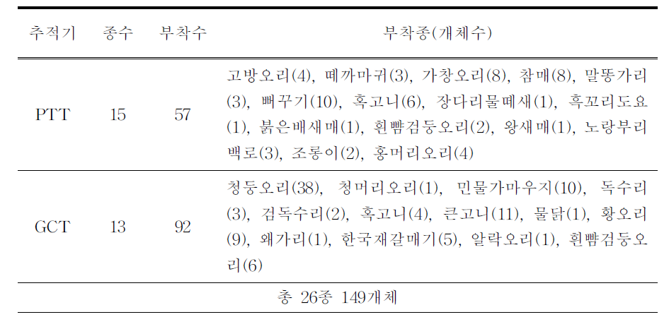 2019년도에 위치추적기를 부착한 조류 종 및 개체수