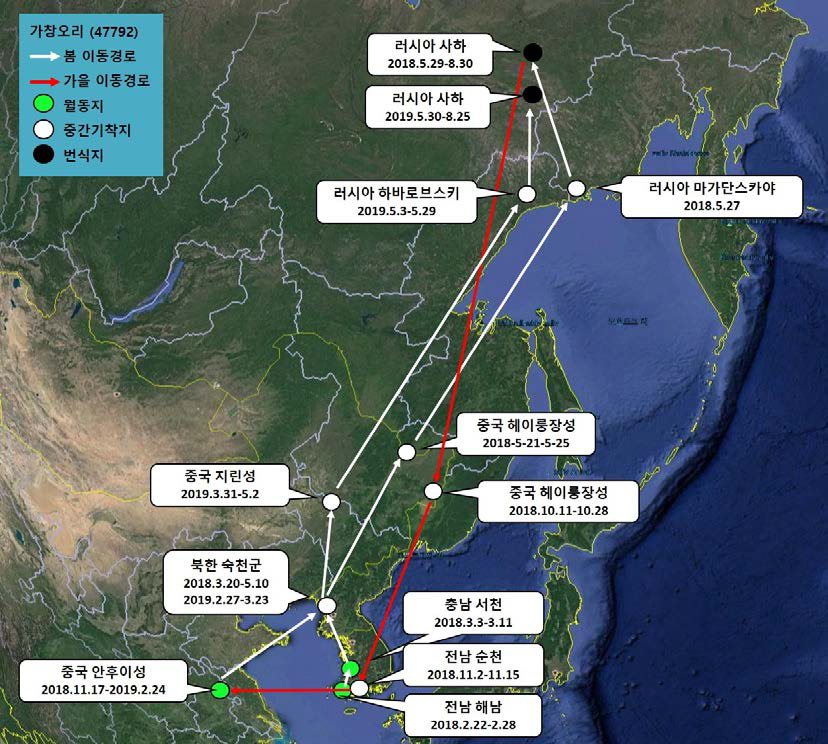 가창오리(ID 47792)의 이동경로(‘18.2.22 - ’19.8.25)
