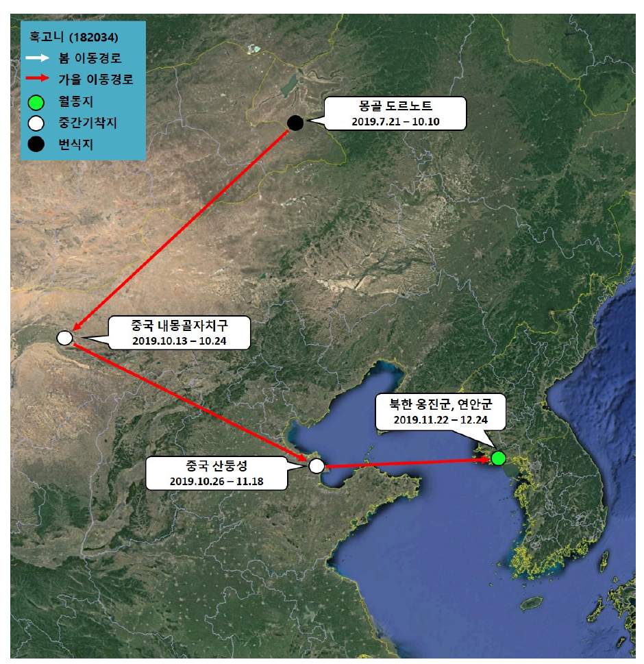 혹고니(ID 182034)의 이동경로(‘19.7.21 - ’19.12.24)