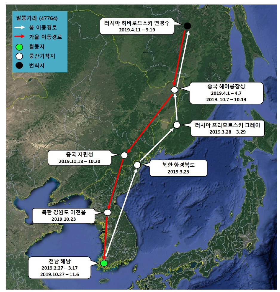 말똥가리(ID 47764)의 이동경로(‘19.2.27 - ’19.11.6)