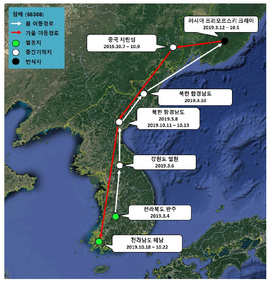 참매(ID 66368)의 이동경로(‘19.2.27 - ’19.10.22)