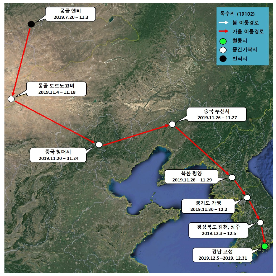 독수리(ID 19102)의 이동경로(‘19.7.20 - ‘19.12.31)