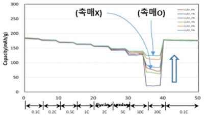 전도촉매를 갖는 전지와 급속충전 가능성을 나타내는 전류율 특성