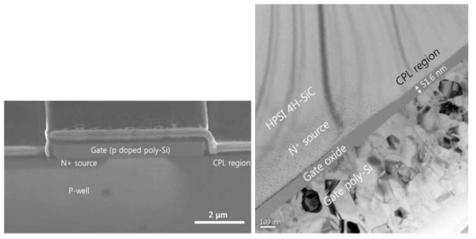 SEM 및 TEM으로 관찰한 gate oxide 구조