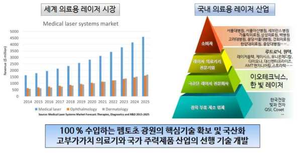 의료용 펨토초 레이저 기술 산업 환경