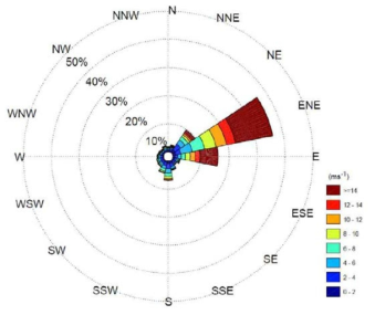 Windrose over the entire period at the study site