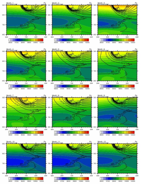 Monthly variations of surface radon concentration (contour) and sea level pressure (shading) from the numerical experiment