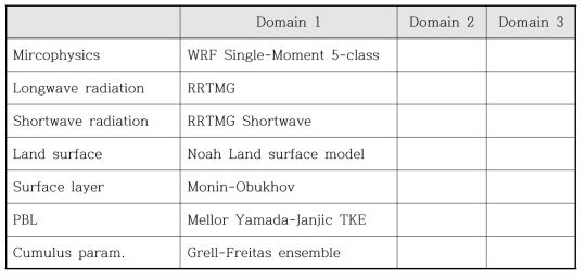 Summary of physical schemes in the numerical simulation