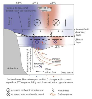 남극의 대기 및 해양 순환 연직 분포 (Thompson et al., 2011)