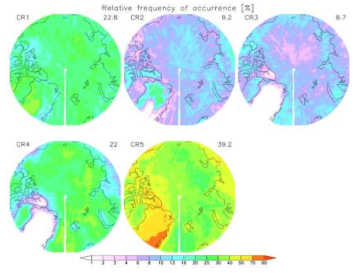 The geographical multiannual mean RFOs of each of the 5 MODIS CRs