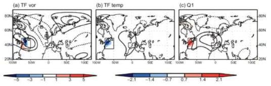 Model response of geopotential height at 300 hPa forced by (a) transient eddy vorticity forcing, (b) transient temperature forcing and (c) diabatic heat source. Forcing is only applied to the boxed region (75°∼50°W, 35° ∼50°N). In (a), transient eddy vorticity forcing at 300 hPa is represented. Values are normalized by 1011. In (b) and (c), vertically integrated forcing terms from 925 hPa to 300 hPa are represented and again normalized by 106. Model streamfunction response is converted to geopotential height by multiplying 10-5 divided by gravity