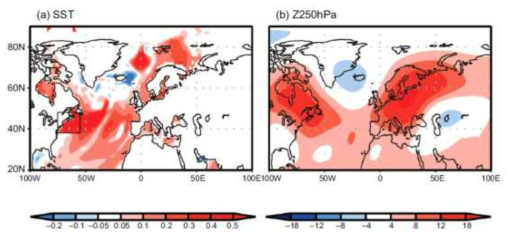 General circulation model (CM2.1) response of (a) SST, (b) 250 hPa geopotential height during early winter (October–December). The model response is defined as difference between early winter mean of forced run and control run. In forced run, SST is nudged only in the boxed region in (a) (75°∼ 55°W, 38°∼48°N)