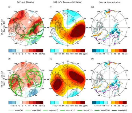Atmospheric and sea ice responses after the termination of Storm Frank: (a, d) averaged SAT anomalies (shading) and individual blocking areas (coloured closed curves; refer to Methods), (b, e) averaged 500-hPa geopotential height anomalies, and (c, f) sea ice concentration anomalies. Upper rows and lower rows contain the first seven days (1-7 January) and the next 13 days (8-20 January), respectively. In (a) and (d), the coloured curves denote the timing of the blocking event with brighter colours for earlier dates and darker colours for later dates. In (c) and (f), the purple coloured lines depict climatological sea ice edge boundaries (sea ice concentration of 15%). As with previous figures, 30 December is defined as day 0