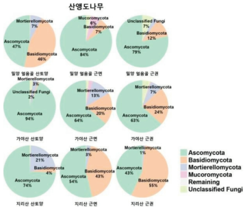 산앵도나무 지역별(근권, 근면, 산토양) phylum 군집 분포