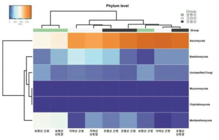 흰진범 지역별(근권, 근면, 산토양) phylum 군집 구성(Heat map)