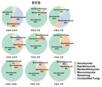 흰진범 지역별(근권, 근면, 산토양) phylum 군집 분포