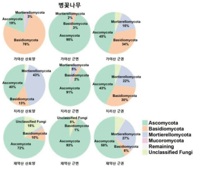 병꽃나무 지역별(근권, 근면, 산토양) phylum 군집 분포