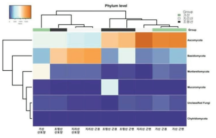 백운산원추리 근권, 근면, 산토양의 phylum 군집 구성(Heat map)