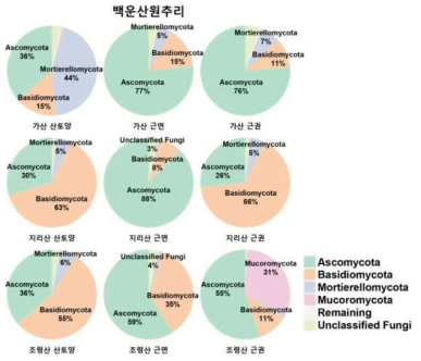 백운산원추리 지역별(근권, 근면, 산토양) phylum 군집 분포