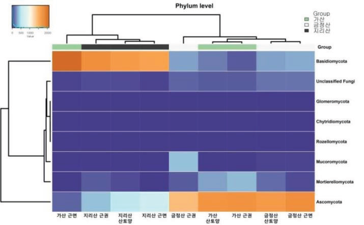 할미밀망 근권, 근면, 산토양의 phylum 군집 구성(Heat map)