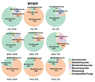 할미밀망 지역별(근권, 근면, 산토양) phylum 군집 분포