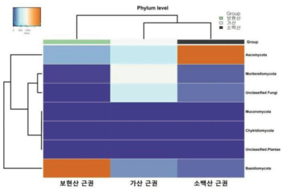 노랑무늬붓꽃의 근권, 근면, 산토양의 phylum 군집 구성(Heat map)