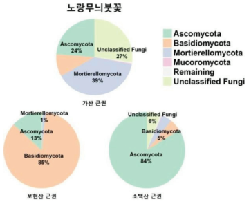 노랑무늬붓꽃 지역별(근권, 근면, 산토양) phylum 군집 분포