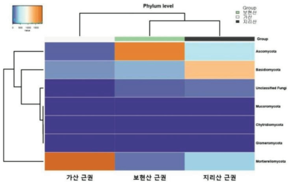 자란초 근권에서 phylum 수준에서의 군집 구성(Heat map)