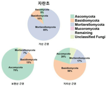 자란초의 지역별 근권 phylum 수준에서의 군집 구성