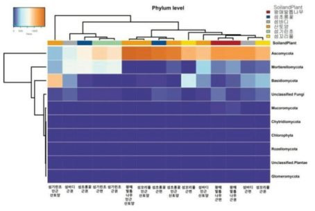 울릉도 자생 식물 시료의 phylum 수준에 따른 균류 군집(Heat map)