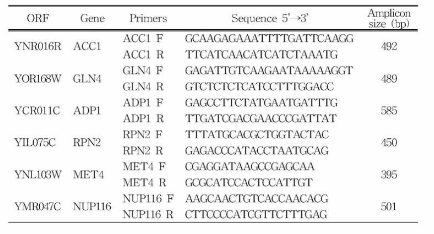 MLST 분석 에 사용한 housekeeping 유전자의 primer sequences