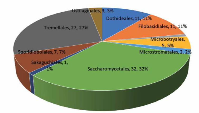 2019년 확보한 효모의 분류군별 비율(목 수준)