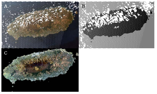 Landsat 7 ETM+ 위성영상 구름 제거:A. 구름 제거 전 Landsat ETM+ 위성영상, B. fMask 소프트웨어 사용, C. 구름 제거 후