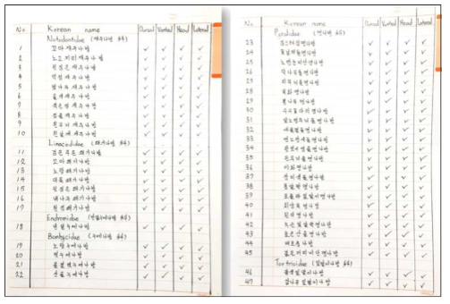 어른벌레 사진 촬영 일지