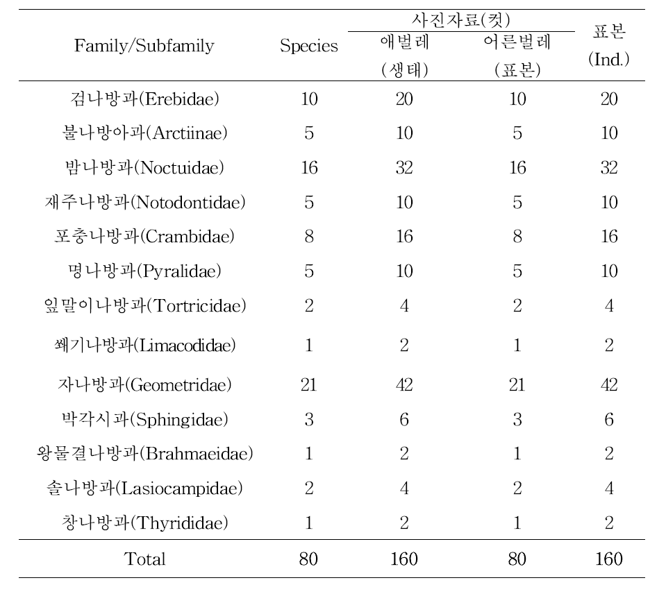 과별 연구대상 종, 화상자료 및 표본 수