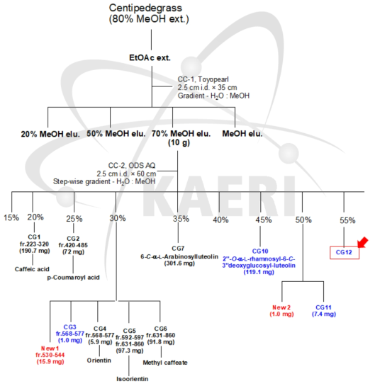 센티페드그라스로부터 CG12의 순수 분리 과정