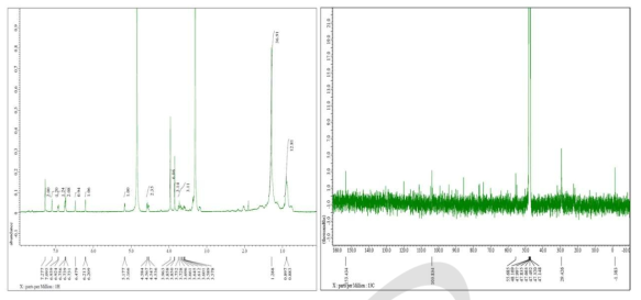 단일 분리된 CG12의 H-NMR (좌) 및 C-NMR (우) 분석 결과