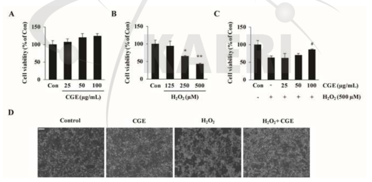 NIH-3T3세포에서 CGE가 H2O2 유도 세포손상에 미치는 영향